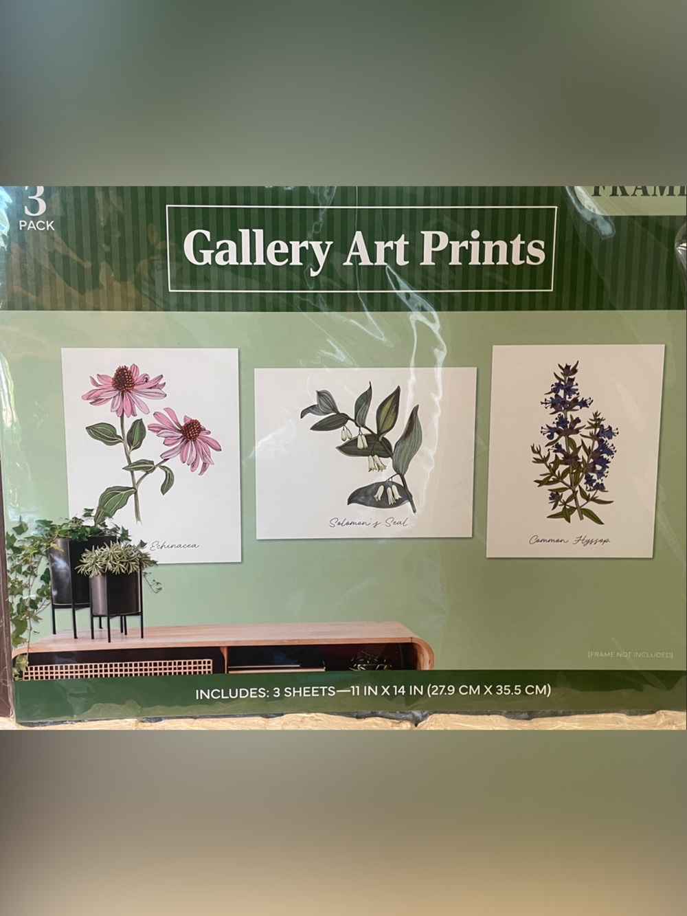 Gallery Art Prints Floral Botanical Wall Art Set 11”x14” AND 8”x10”- total of 6